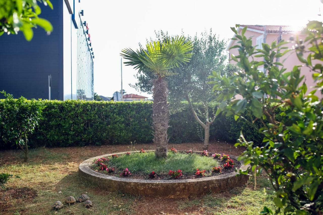 נובליה Apartments & Rooms Peranic מראה חיצוני תמונה